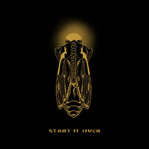 美女露大胸性教育
