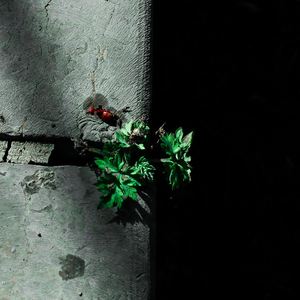 美女露大胸性教育
