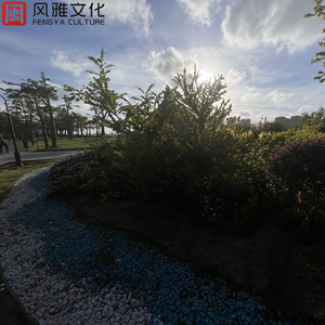 美女露大胸性教育
